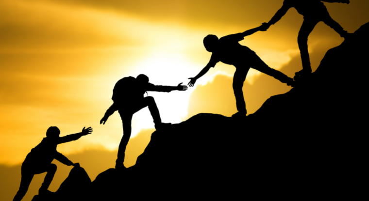 learn to trust